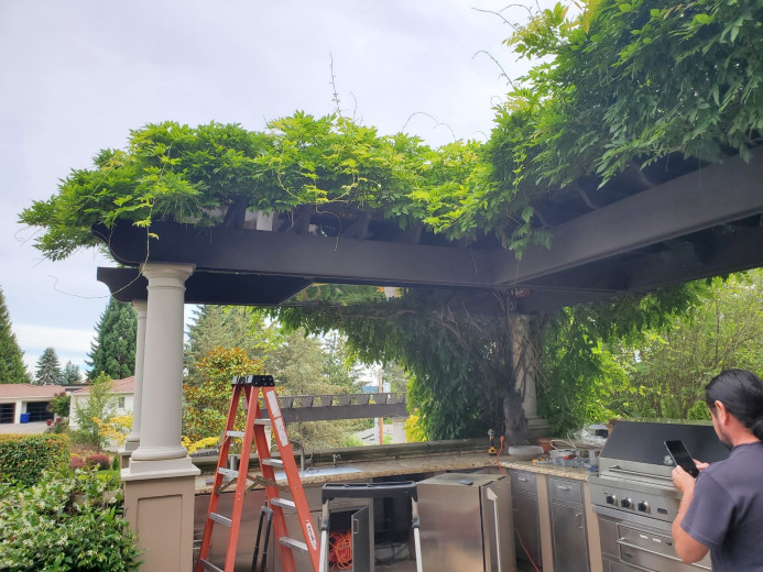 Outdoor Entertainment Installation in Kirkland, WA image: File_011