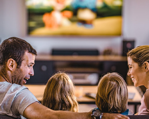 Pro Flat Panel TV Mounting in Seattle and Portland